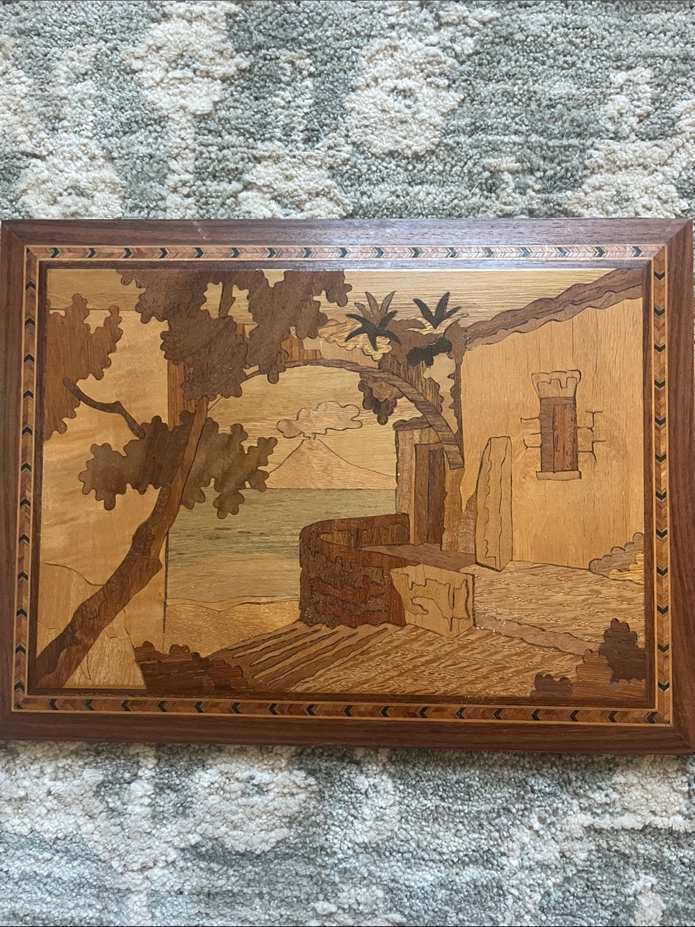 Wood Inlay Scenic Picture Frame - Brown